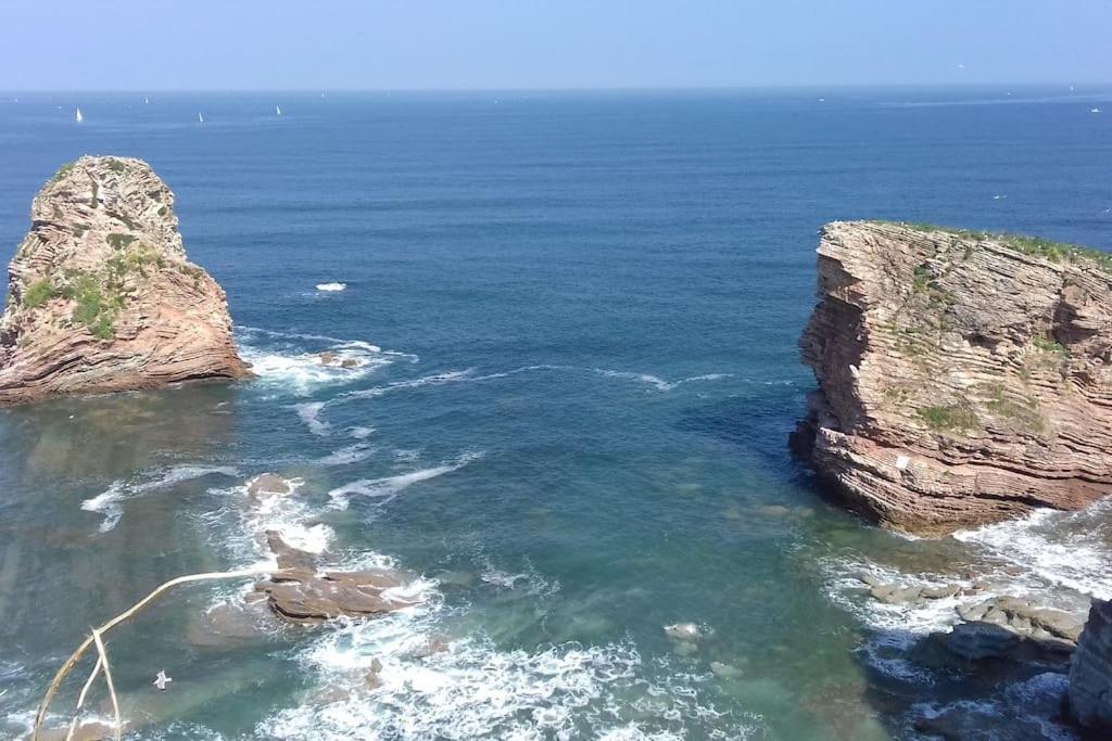 Gite Individuel Au Pays Basque A 1,5Km De St-Jean-Pied-De-Port サン・ジャン・ピエ・ド・ポル エクステリア 写真