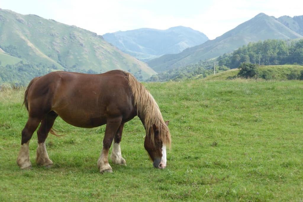 Gite Individuel Au Pays Basque A 1,5Km De St-Jean-Pied-De-Port サン・ジャン・ピエ・ド・ポル エクステリア 写真