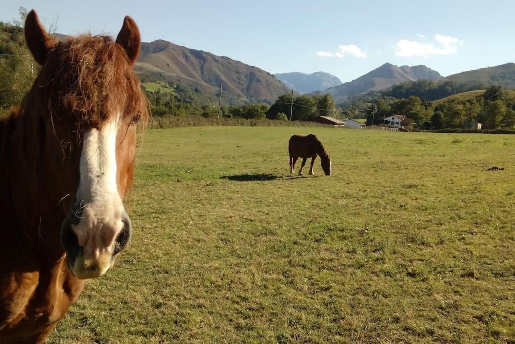 Gite Individuel Au Pays Basque A 1,5Km De St-Jean-Pied-De-Port サン・ジャン・ピエ・ド・ポル エクステリア 写真